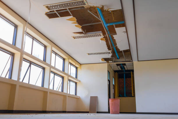 Reliable VA Water damage restoration Solutions