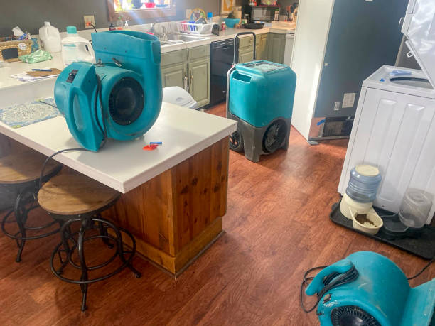 Best Water damage restoration mold remediation  in Potomac Mills, VA