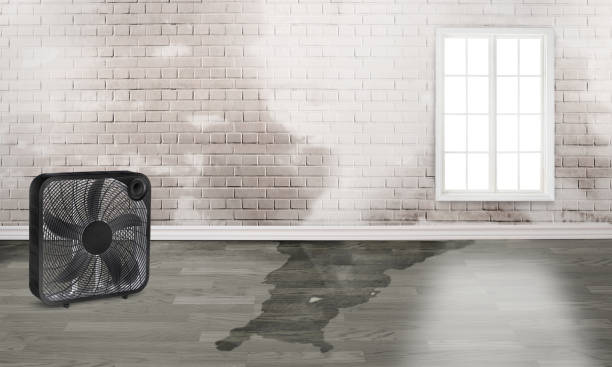 Best 24-hour water damage restoration  in Potomac Mills, VA