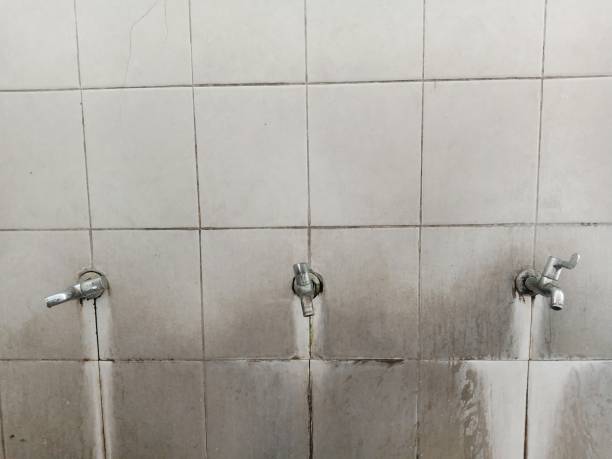 Best Water damage restoration near me  in Potomac Mills, VA