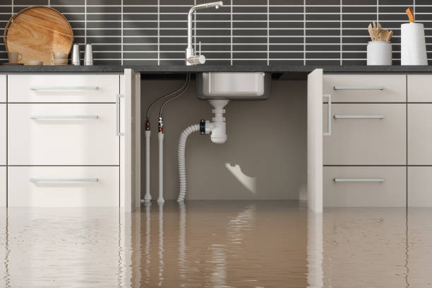 Best Residential water damage restoration  in Potomac Mills, VA