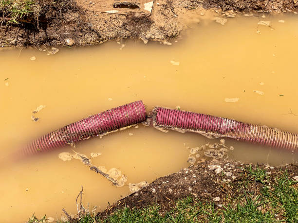 Best Residential water damage restoration  in Potomac Mills, VA