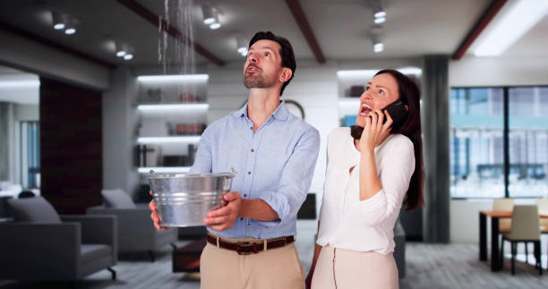 Best Professional water damage repair  in Potomac Mills, VA