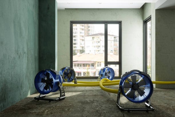 Best Local water damage restoration  in Potomac Mills, VA